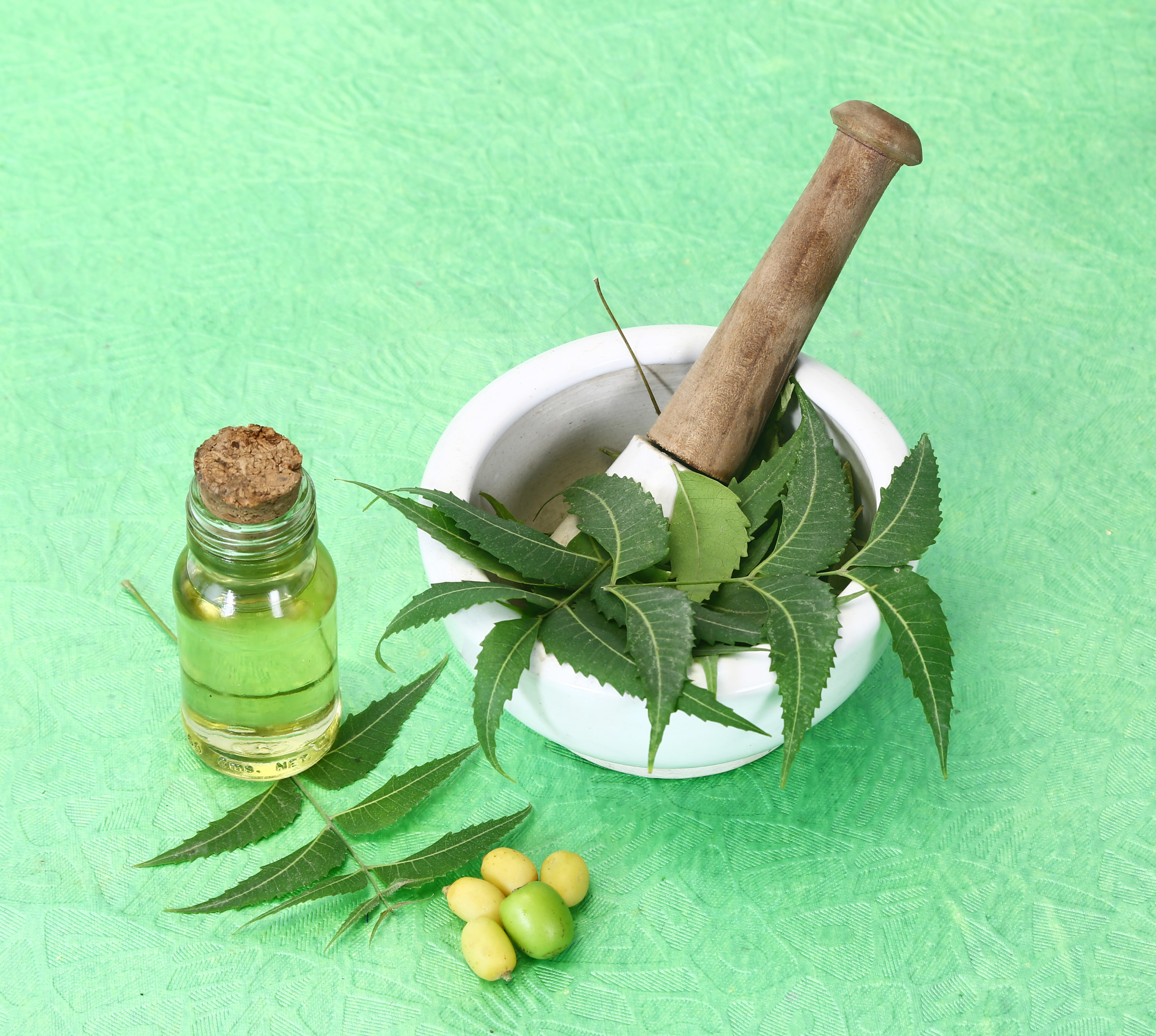 Neem leaves shown in raw and finished form as oil
